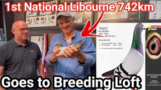 Hooymans Pigeons| 1 Nat Libourne KBDB 742km | Jon Hooymans | Racing pigeons