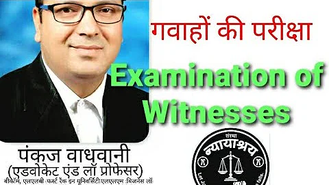Examination of Witness