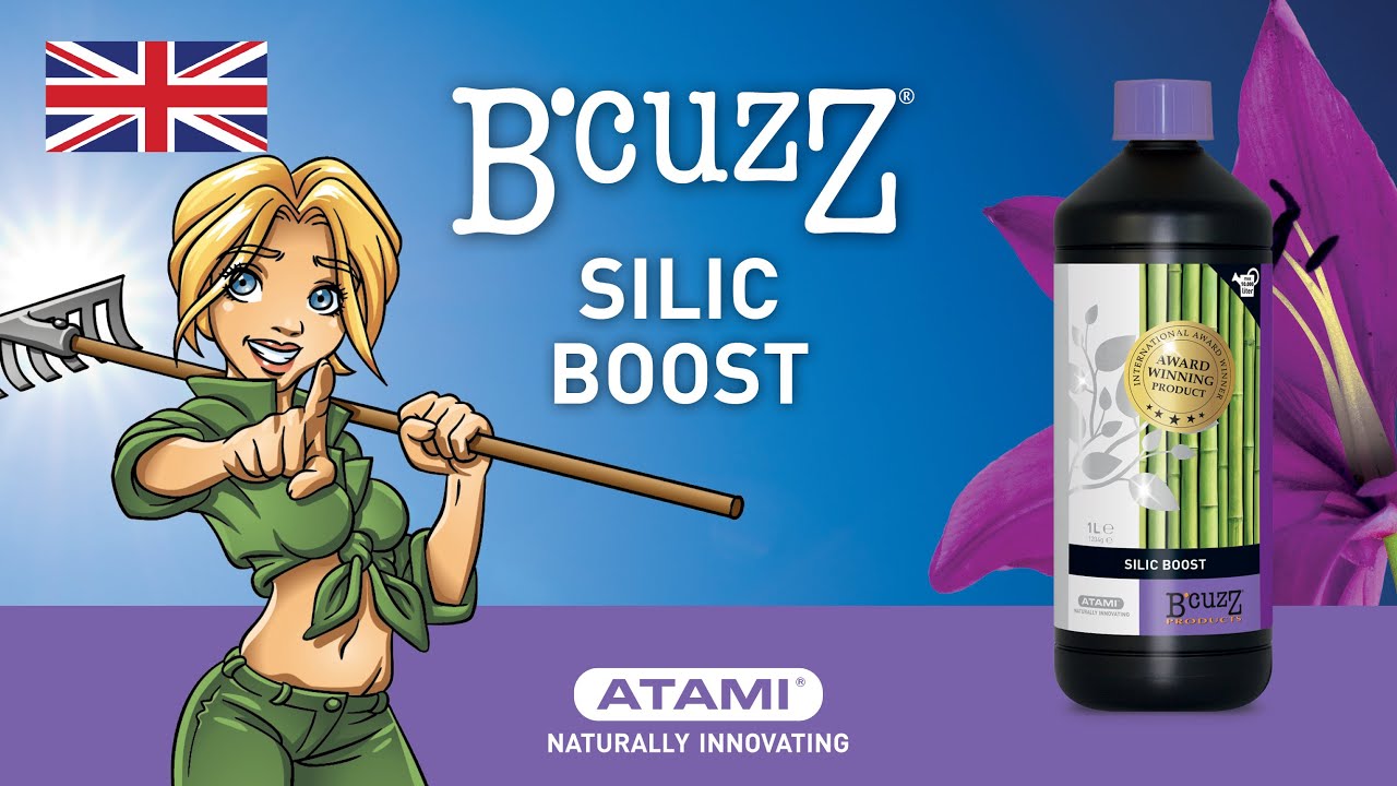 B'cuzz Silic Boost | (Animation EN)