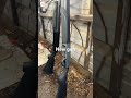 12 gauge beretta