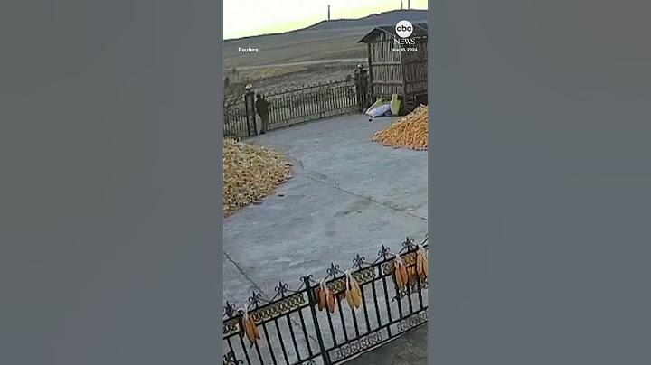 Tiger rams farm gate in northern China