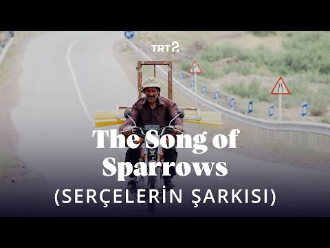 Serçelerin Şarkısı (The Song of Sparrows) | Fragman