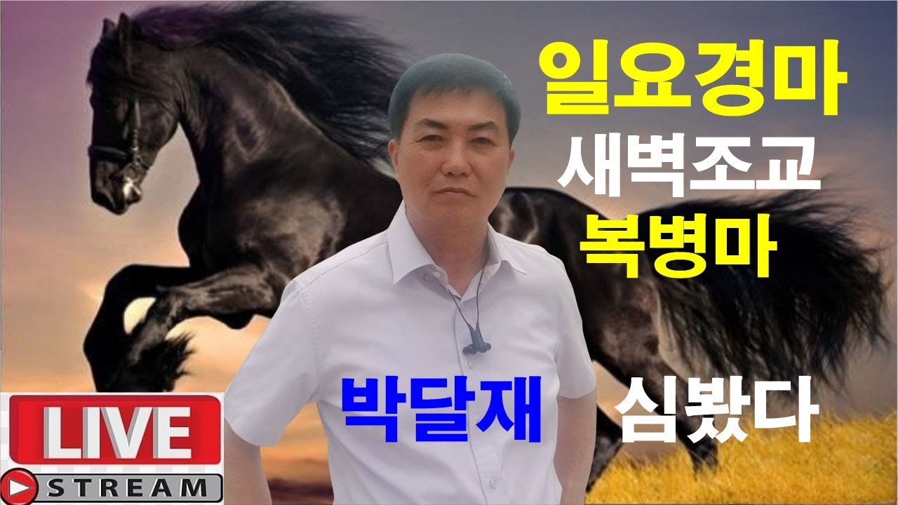 2월8일 일요경마 새벽조교 정밀분석 경마예상 추천마번 복병마  온종일 라이브 방송 서울경마 부경경마 경주분석 추천마번 예상방송 박달재