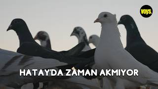 Hatay'da Zaman Akmıyor