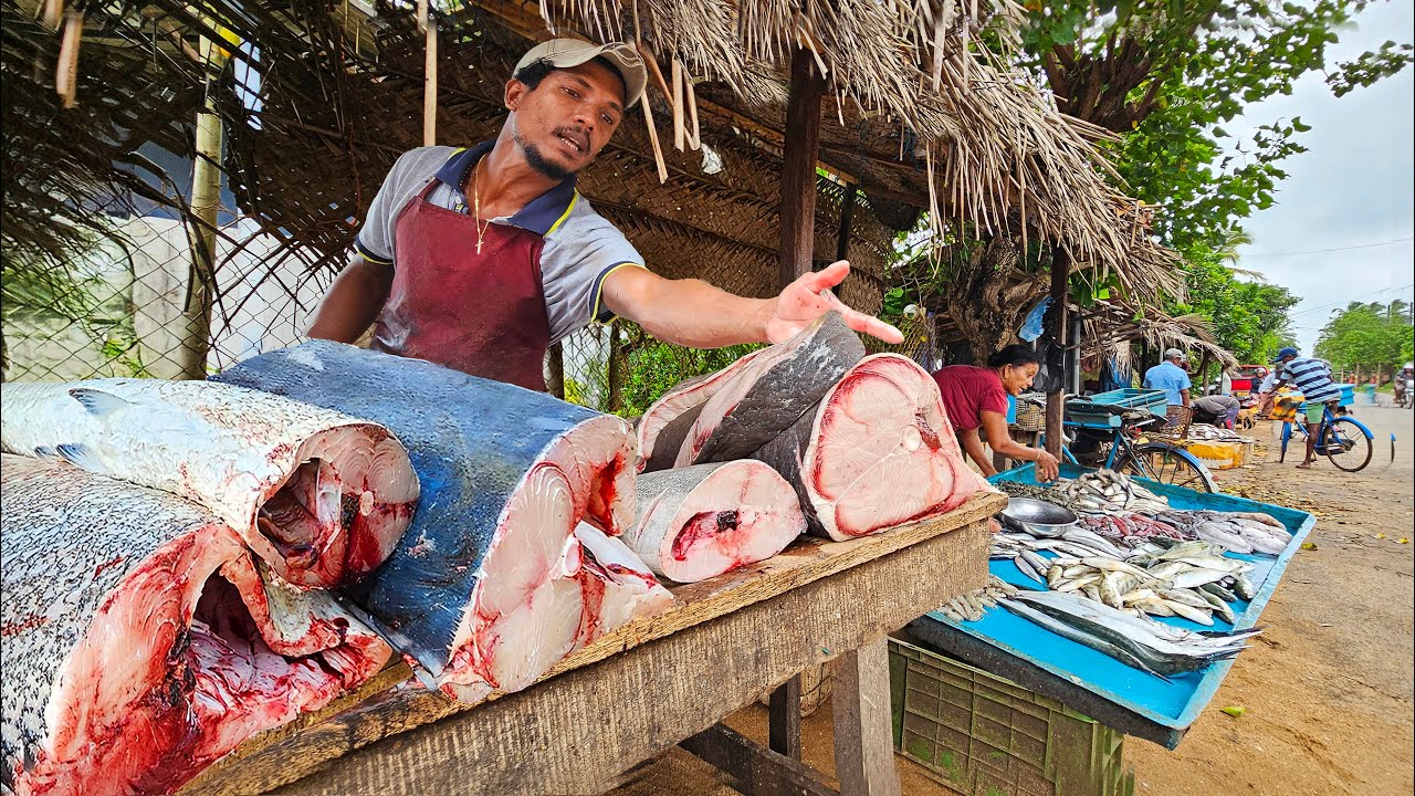 Best!! Rural Village Discover Street Fish Market Hard Worker Day In Life Of Villager