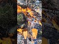 Burning Grass Clippings and Tree Branches