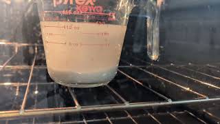 yeast growth time-lapse