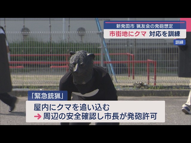 Training on how to respond to bear sightings in urban areas