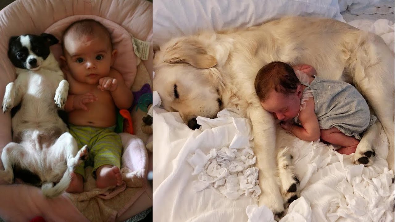 FUNNY AND ADORABLE BABIES DOING FUNNY THINGS FUNNIEST BABY LAUGHING