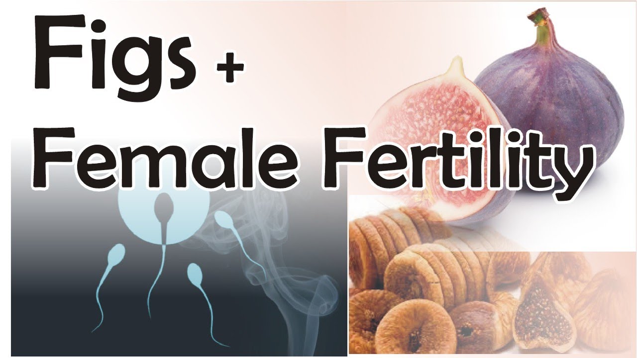 Figs Benefits For Female Fertility Dry Figs for women xmyhealth