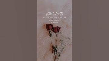 سورة هود #القران #المصحف #لايك #القران_الكريم #تيك_توك #اكسبلور