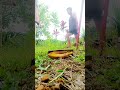 creative video photographer, twin brothers moving giant bananas