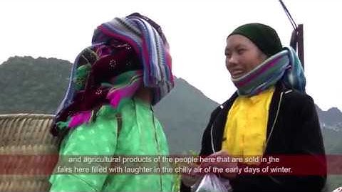 Mùa Ong Bạc Hà Trên Cao Nguyên Đá Đồng Văn