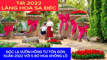 🌼 Làng Hoa Sa Đéc 2022 Độc Lạ Tại Vườn Hồng Tư Tôn 5 Bó Hoa Khổng Lồ Tết 2022 | Khương Nhựt Minh