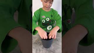 Fasulye Ektik Şfet