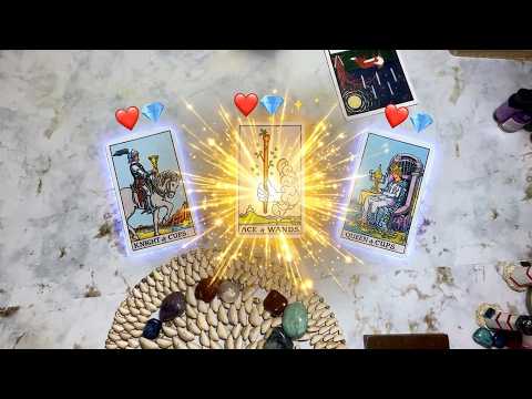 THE CONFESSION:‼️❤️ Their Mind Blowing Truth Is Knocking At Your Door ❤️✨🚪