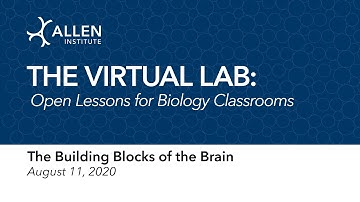 The Virtual Science Lab | The Building Blocks of the Brain