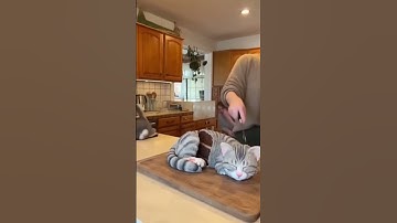 Real Cat Freaks Out as Woman Cuts a Hyper-Realistic Cat Cake 🐱🍰 | Viral Reaction! #catcake #cat