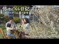 #12【築55年の田舎暮らし】北アルプス山麓の古民家で迎えた春