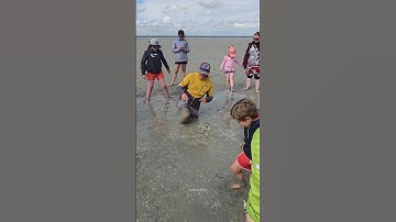 This is how you can get escaped from QuickSand || #trending #facts #shorts