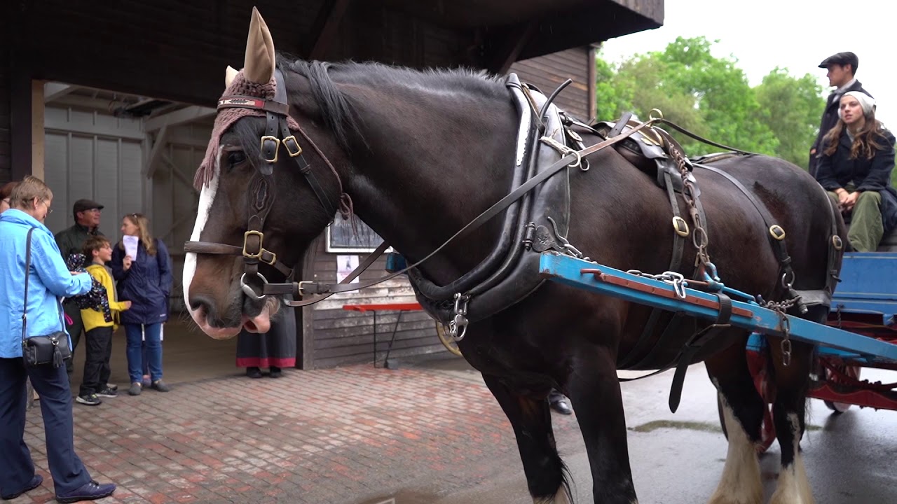 Horse and cart in Blists Hill Victorian Town YouTube