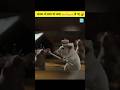 जानवर तो हम लोगो से भी तेज हो रहे हैँ #facts #amazing #trending #education #viralvideo