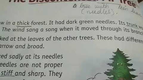 Grade-2/English Literature/Ch-11/The Discontented Fir Tree.