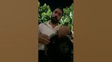 مقدمة حب ايه طبلة كولة عود 