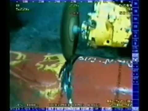 Crab sucked into underwater pipe