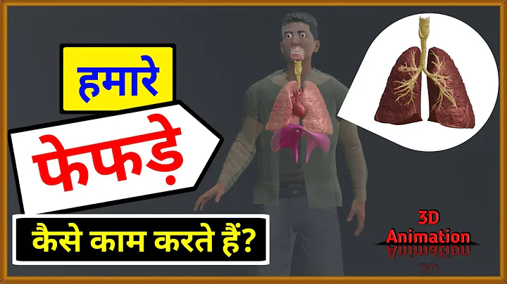 हमारे फेफड़े कैसे काम करते हैं? | How do our lungs work? | Human Respiratory System | 3D Animation🔥