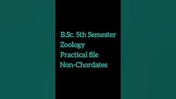 Zoology Practical file || #viral #shorts #trending #youtubeshorts #bsc #bscprojects #science