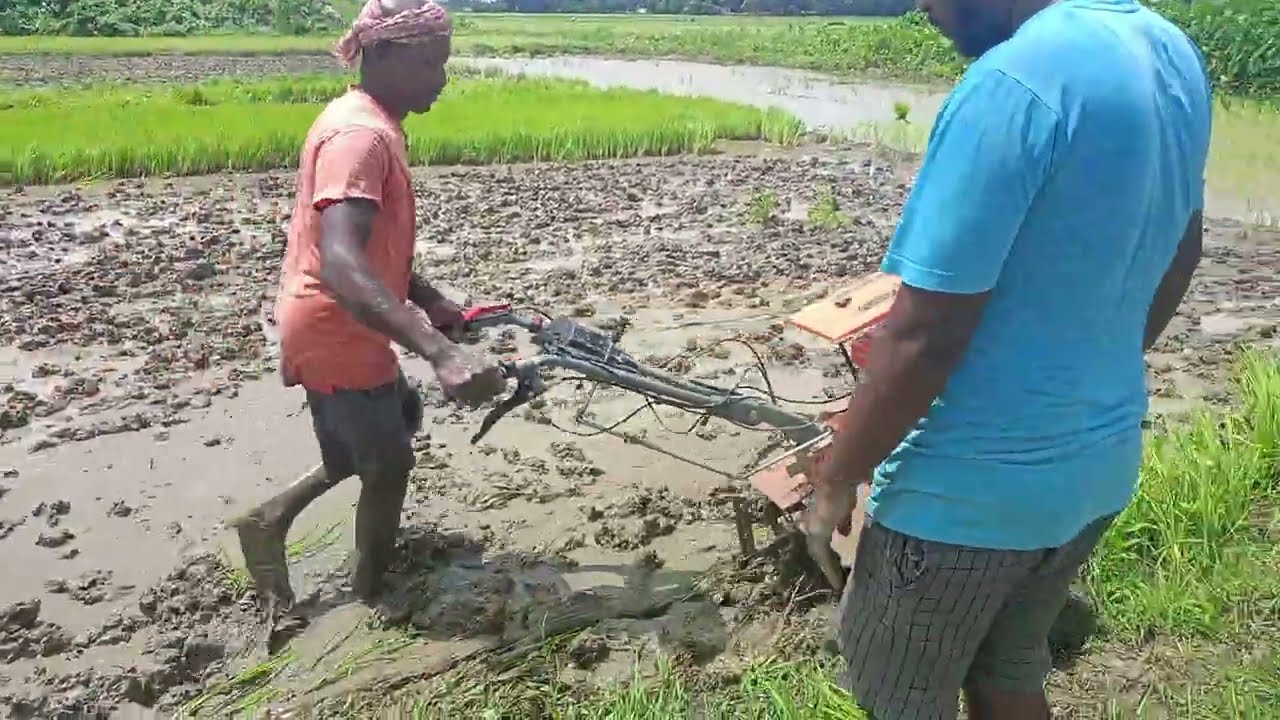 କାଦୁଆରେ 7HP Power Weeder ଦେଖିଲେ ଆପଣ ମଧ୍ୟ ହେବେ ହକ୍କାବକ୍କା! 🤯🚜