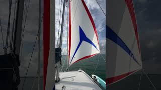 Famous Code Zero Sailing Miami Net Worth