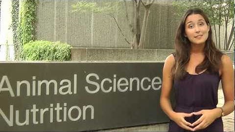 Farms.com - Selenium in dairy cattle