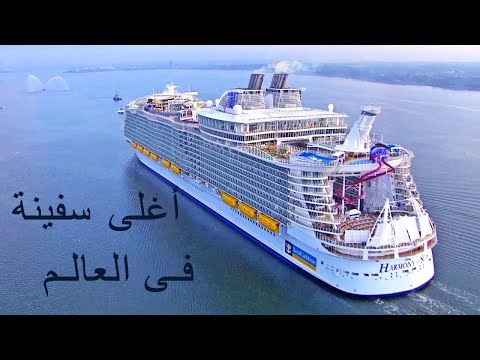 فيديو: الحياة الشخصية للسفينة