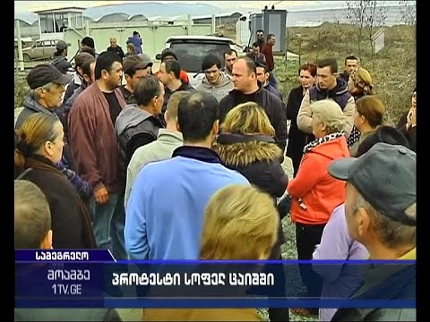 გაფიცული არიან ცაიშის სასათბურე მეურნეობის თანამშრომლები