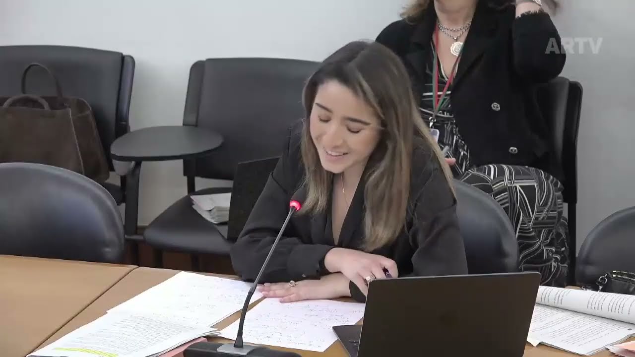 Intervenção de Eva Brás Pinho na Comissão de Assuntos Constitucionais