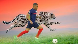 Kylian Mbappé's Struggles: Deschamps Reveals Real Madrid and France Challenges