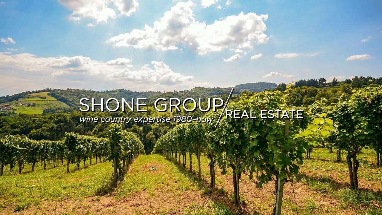 Vine Valley League Tournament Justin Siena vs Petaluma High 05-16-25