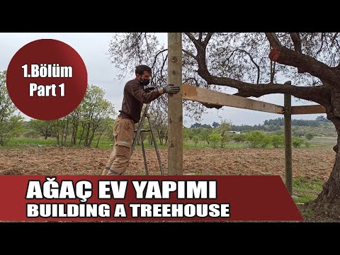 Ağaç Ev Yapımı - 1.Bölüm  Hayallerimize Doğru - How to build a Treehouse - Part1