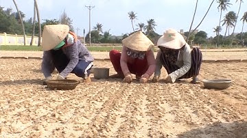 Nguy cơ thiếu nước vụ đông xuân trên đảo Lý Sơn