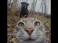 Anacondaz Мама я люблю Speed Up 