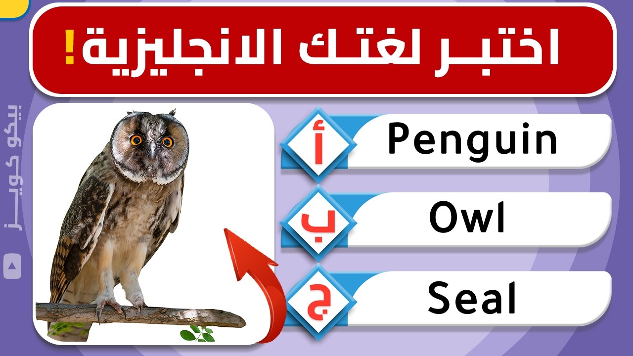 تحدي اللغة الانجليزية 🧠 | هل تستطيع معرفة جميع اسماء الحيوانات ؟