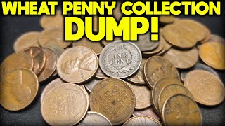WHEAT PENNY COLLECTION DUMP!!! (COIN ROLL HUNTING PENNIES)