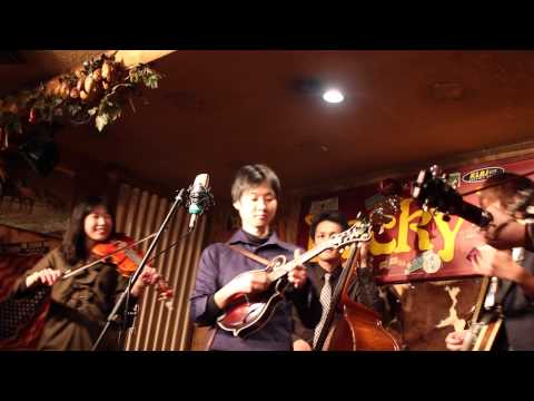 Bluegrass Police - My Window Faces the South