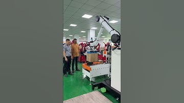 Palletizing  robot#six-axis robot#industrial robots