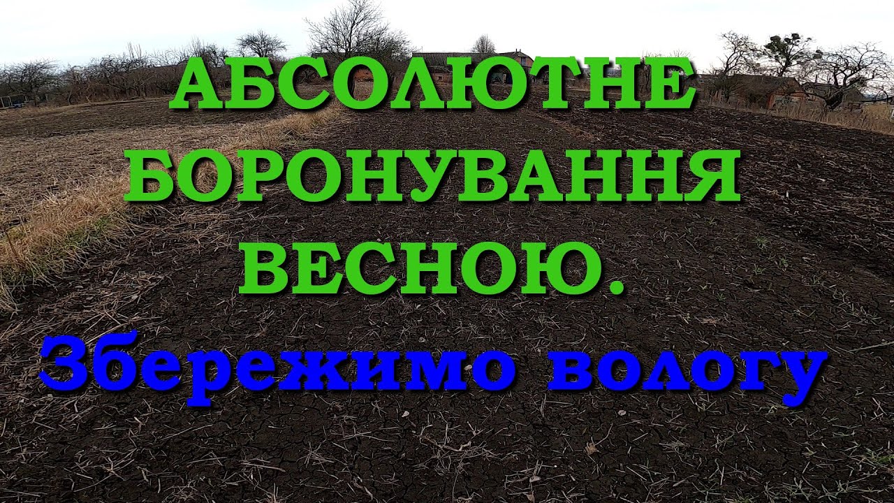 Боронування мотоблоком. Що не так з боронуванням? Зробиш вчасно - вродить рясно. А якщо спека?
