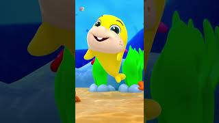 Baby Shark Nursery Rhymes for Kids #Shorts #trending #viral #popular
