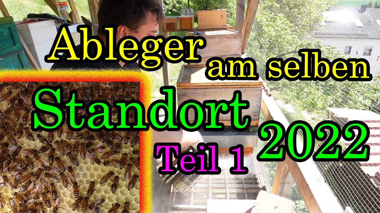 Bienen Ableger bilden am selben Standort Bienen Schröpfen