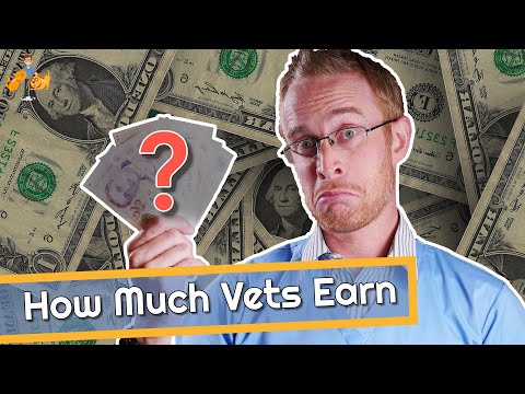 How Much Do Vets Make (are we all rich?)